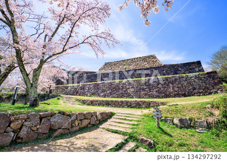 〈鳥取県〉米子城跡と桜　大天守の石垣 134297292