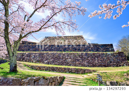 〈鳥取県〉米子城跡と桜 大天守の石垣 〈鳥取県〉米子城跡と桜 大天守の石垣 134297293