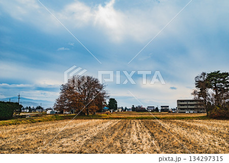 光が降り注ぐ安曇野【安曇野市】 134297315