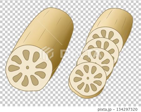 Lotus root Lotus root 134297320