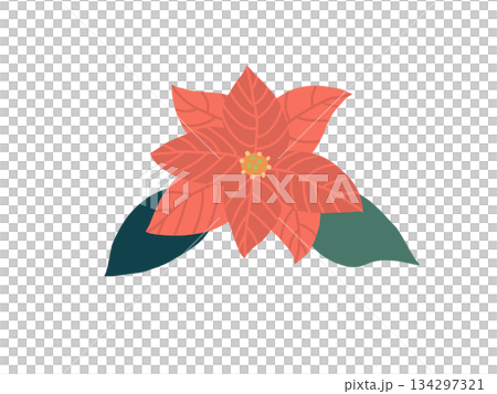 Simple red poinsettia 134297321
