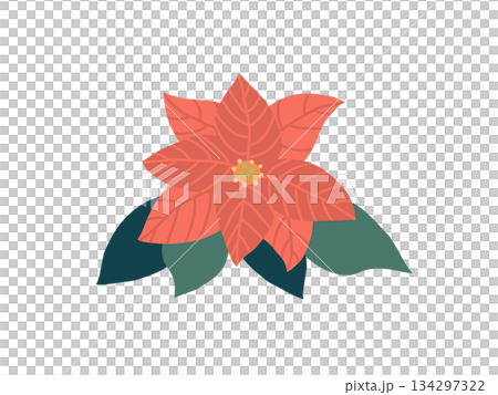 Simple red poinsettia 134297322