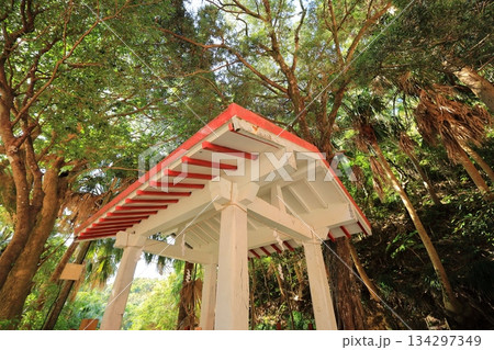 ガジュマルとソテツが生い茂る本州最南端の神社/御崎神社(日本 鹿児島県南大隅町) ガジュマルとソテツが生い茂る本州最南端の神社/御崎神社(日本 鹿児島県南大隅町) 134297349