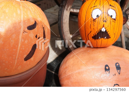 ハロウィンのかぼちゃが並ぶ 134297560