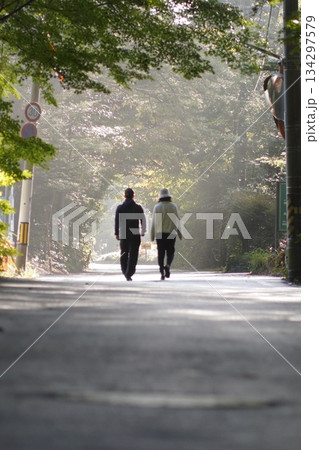 木々の間を歩く老夫婦 134297579