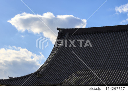 東大寺大仏殿と青い空 東大寺大仏殿と青い空 134297727