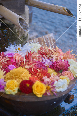 水に浮かぶ花 134297728