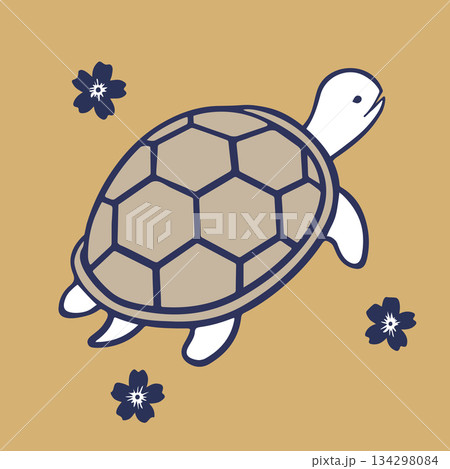 亀　イラスト 134298084