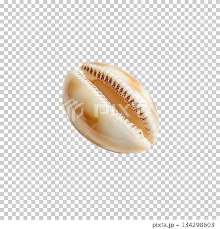 Coffee Bean in Close View Showing Natural Texture and Details of Its Surface. 134298603