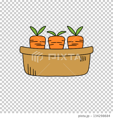 Three carrots are in a basket Three carrots are in a basket 134298684