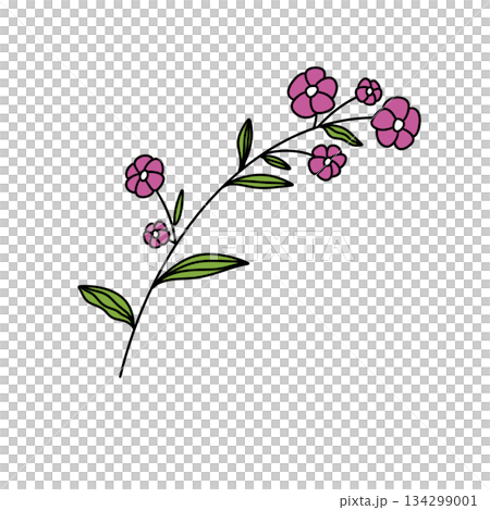 A flower with green leaves and pink petals 134299001