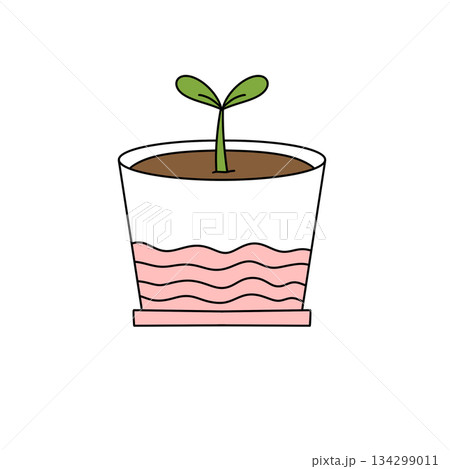 A plant is growing in a glass container with pink water 134299011