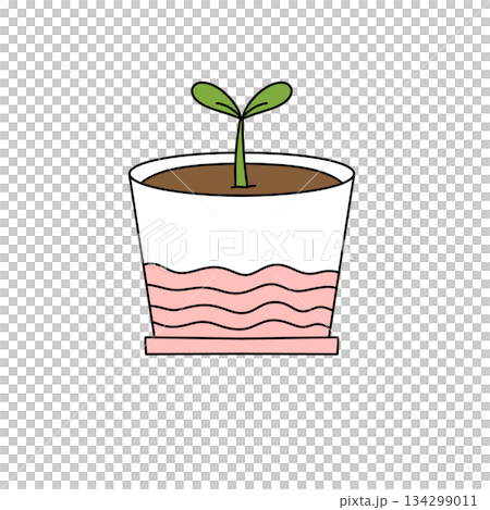 A plant is growing in a glass container with pink water 134299011