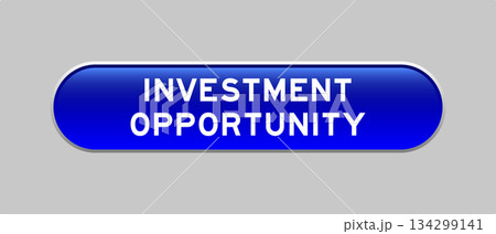 Blue color capsule shape button with word investment opportunity on gray background Blue color capsule shape button with word investment opportunity on gray background 134299141