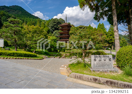 瑠璃光寺の五重塔の風景(山口市) 瑠璃光寺の五重塔の風景(山口市) 134299251