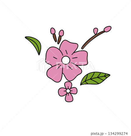 A pink flower with green leaves is drawn in a cartoon style 134299274