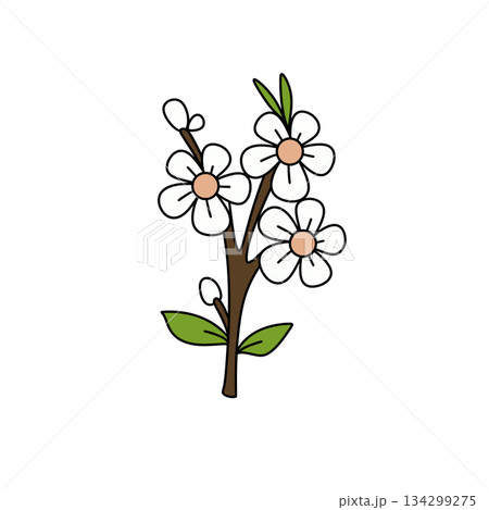 A white flower with green leaves is drawn in a cartoon style 134299275
