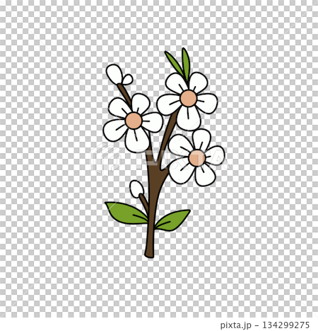 A white flower with green leaves is drawn in a cartoon style 134299275