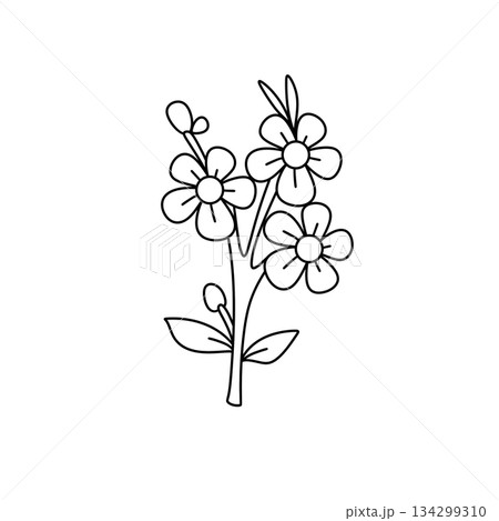 A flower drawing with three flowers 134299310