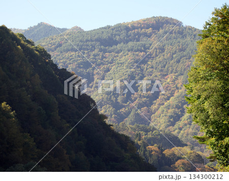 紅葉した山々 紅葉した山々 134300212