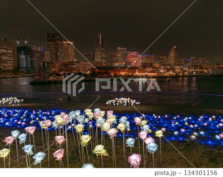 大さん橋から見たみなとみらいの夜景 大さん橋から見たみなとみらいの夜景 134301156