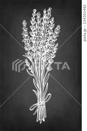 Bundle of lavender tied with twine chalk sketch 134301492
