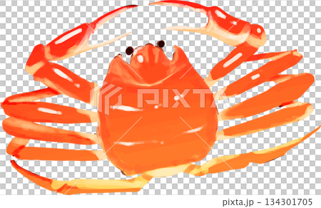 High-quality snow crab 134301705