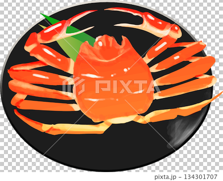 High-quality snow crab on a plate 134301707