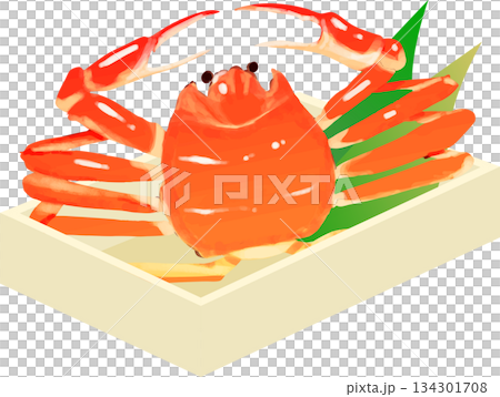 桐箱に入った高級ズワイガニ 134301708