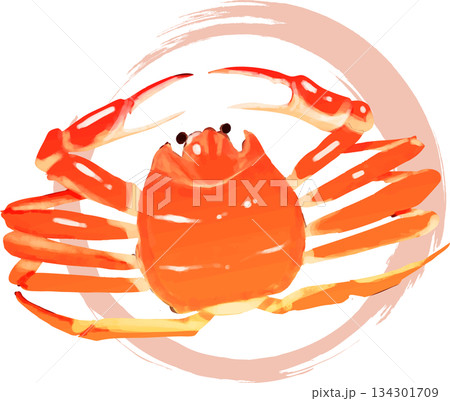 高級ズワイガニ 高級ズワイガニ 134301709