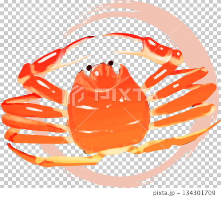 High-quality snow crab 134301709
