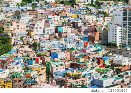 釜山　韓国の“チンクエ・テッレ”　甘川文化村 134301935