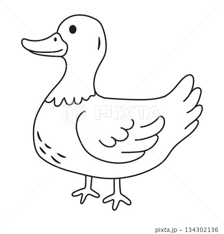Cute cartoon duck line art outline drawing for coloring book 134302136