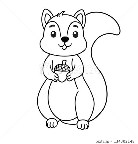 Cute cartoon squirrel line art outline drawing for coloring book 134302149