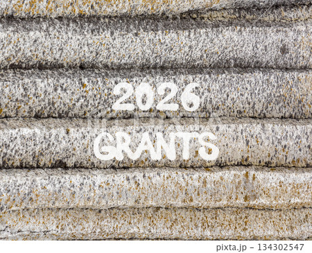 2026 Grants symbol. Concept words 2026 Grants on beautiful grey mountain wall. Beautiful grey mountain wall background. Business and 2026 grants concept. Copy space. 2026 Grants symbol. Concept words 2026 Grants on beautiful grey mountain wall. Beautiful grey mountain wall background. Business and 2026 grants concept. Copy space. 134302547
