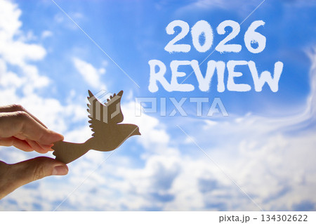 2026 Review symbol. Concept words 2026 Review on beautiful blue sky. Beautiful blue sky background. Businessman's hand holds wooden bird. Business and 2026 review concept. Copy space. 134302622
