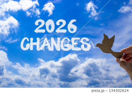 2026 Changes symbol. Concept words 2026 Changes on beautiful blue sky. Beautiful blue sky background. Businessman's hand holds wooden bird. Business and 2026 changes concept. Copy space. 134302624