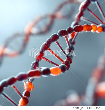 3D illustration of DNA ribbon loop rendered...のイラスト素材 [134303548] - PIXTA