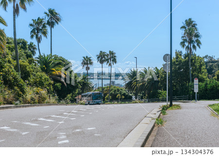 ヤシの木が並ぶ道路を走るバスと海の風景 134304376