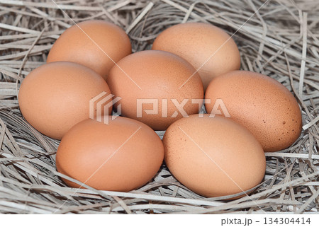Brown chicken eggs on dry grass Brown chicken eggs on dry grass 134304414