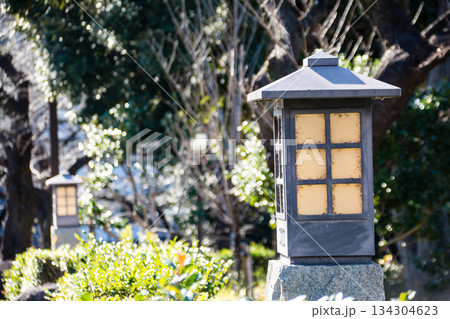 明るい日差しの下の木々に囲まれた古めかしい灯籠　東京都の王子の飛鳥山公園にて 134304623