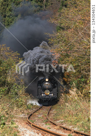 晩秋の森を駆け抜けるSLばんえつ物語号 磐越西線 C57180 晩秋の森を駆け抜けるSLばんえつ物語号 磐越西線 C57180 134304651