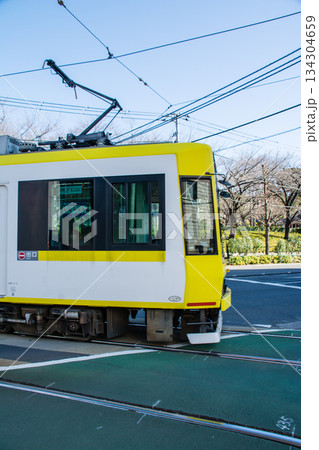 明るい快晴の空の下を進む東京桜トラムの車両　東京都の王子の飛鳥山公園近くにて 134304659