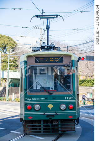 明るい快晴の空の下を進む東京桜トラムの車両　東京都の王子の飛鳥山公園近くにて 134304664