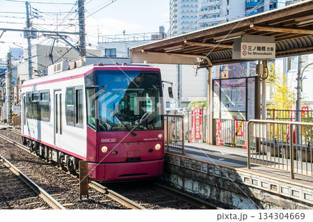明るい快晴の空の下を進む東京桜トラムの車両　東京都の王子の飛鳥山公園近くにて 134304669