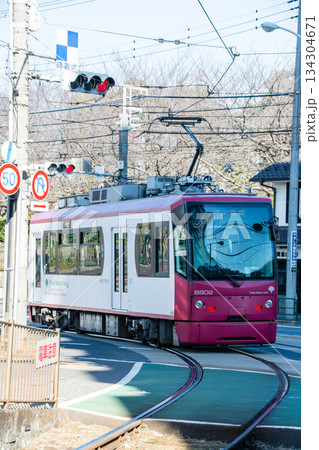 明るい快晴の空の下を進む東京桜トラムの車両　東京都の王子の飛鳥山公園近くにて 134304671
