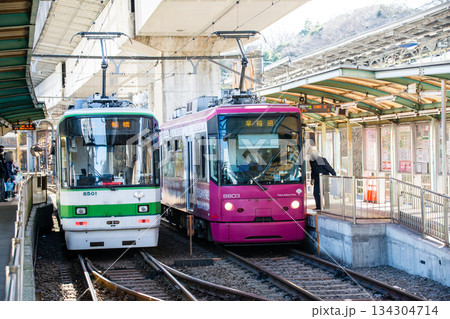 明るい快晴の空の下を進む東京桜トラムの車両　東京都の王子の飛鳥山公園近くにて 134304714