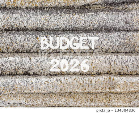 Budget 2026 symbol. Concept words Budget 2026 on beautiful grey mountain wall. Beautiful grey mountain wall background. Business and budget 2026 concept. Copy space. 134304830