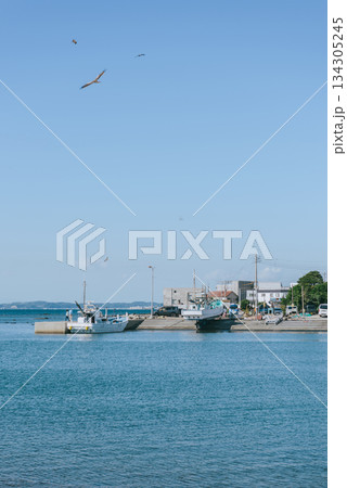 カモメが飛ぶ漁港と海沿いの集落　神奈川県三浦半島 134305245