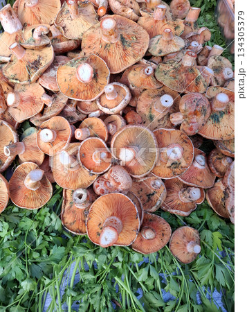 Mushrooms are layered together on a table at a farmers market. People are exploring fresh produce and local goods in Spain. This scene shows the vibrant offerings of the market. 134305379